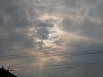 Třibřichy